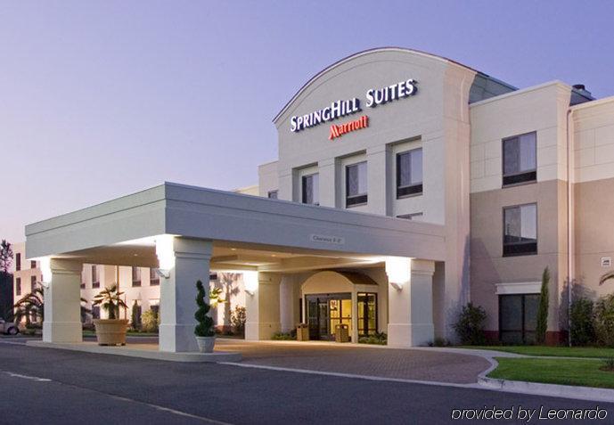 Springhill Suites By Marriott Voorhees Mt. Laurel/Cherry Hill Eksteriør billede